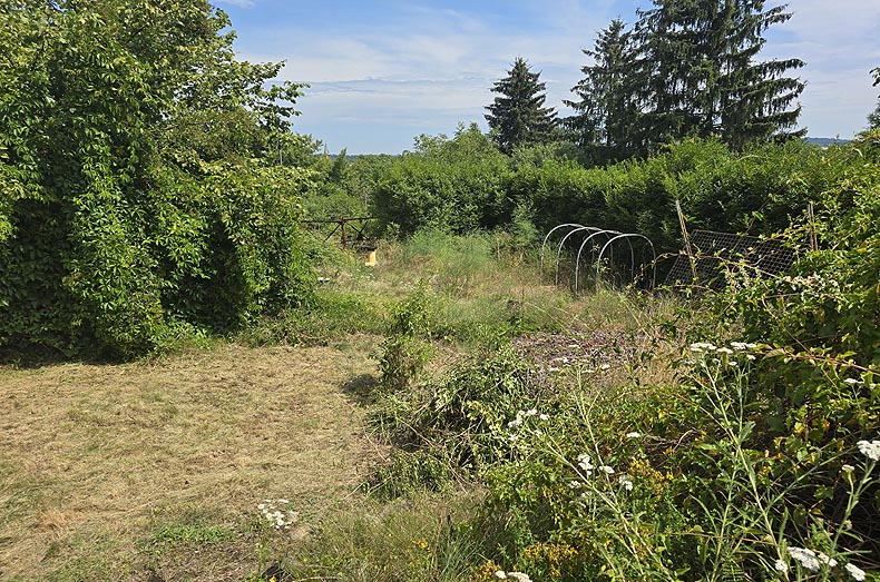 Immobilien Potsdam - Objektfoto